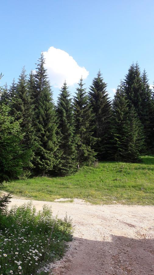 Snowhite Jahorina Villa Exterior photo